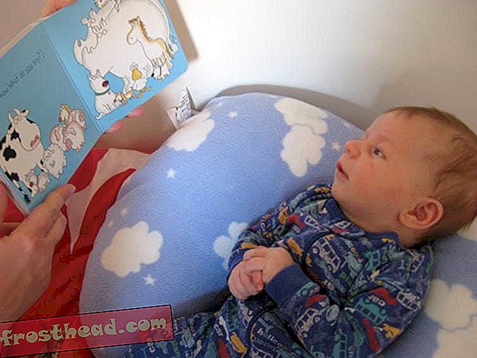 чланци, наука, ум и тело - Студије мозга предлажу које књиге требате прочитати беби - и када