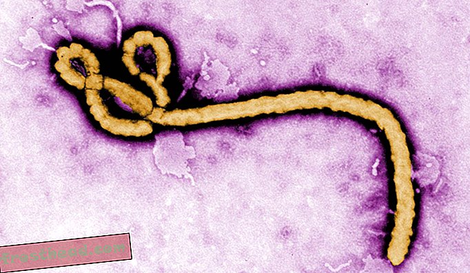 Как вы убираете дом больного лихорадкой Эбола?