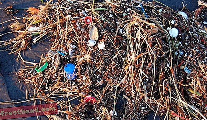 Plastik wird in San Francisco an Land gespült.