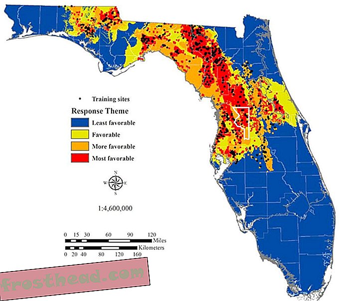 Флорида Sinkholes.jpg