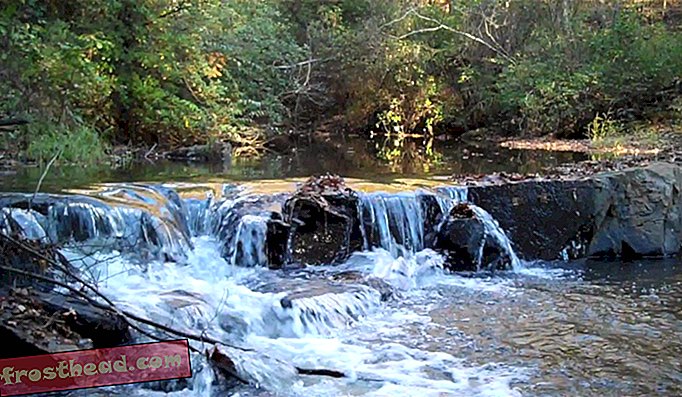 Ramsey Creek Preserve mendakwa menjadi yang pertama