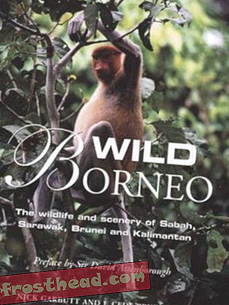 Preview thumbnail for video 'Wild Borneo