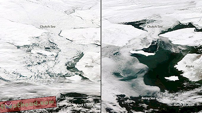 članci, znanost, naš planet - Rekordna toplina na Aljasci čini pustoš na zajednicama i ekosustavima