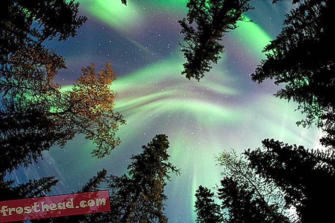 Kraftig solflekk maler himmelen med godisfargede Auroraer