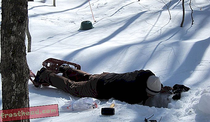 O Dr. Jorge Duran, um colega de Peter Groffman, colhe amostras de solo sob a neve em um local de pesquisa em Hubbard Brook Experimental Forest, New Hampshire.