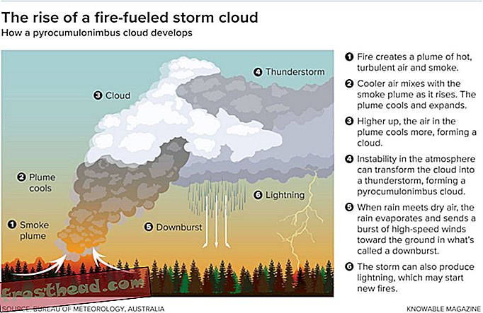 Fire Cloud Chart
