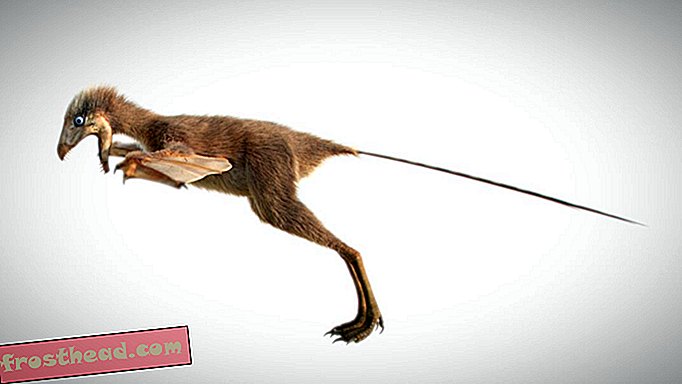 Ο νεοανακαλυμμένος δεινόσαυρος που αποκαλύπτεται με τα μάτια αποκαλύπτει τις περιπλοκές της προϊστορικής πτήσης