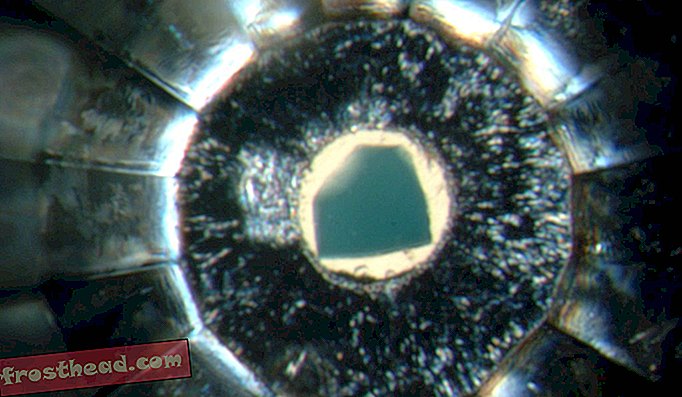 Modrikast kristal ringwoodita v celici z diamantno nakovalo.