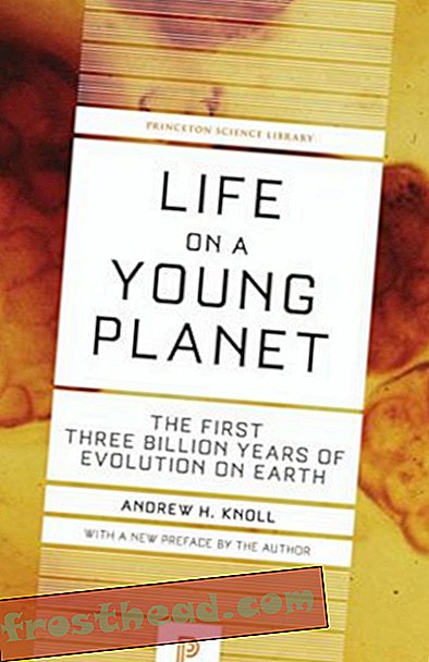 Preview thumbnail for video 'Life on a Young Planet: The First Three Billion Years of Evolution on Earth (Princeton Science Library)