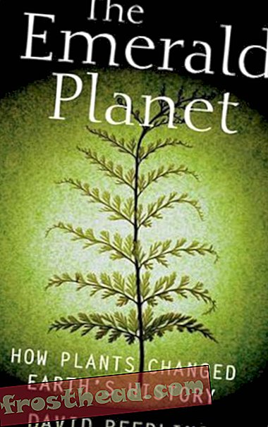 Preview thumbnail for video 'Emerald Planet How Plants Changed Earth's History by Beerling, David [Oxford University Press, USA, 2007] [Hardcover]