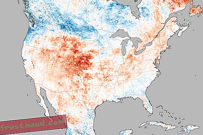 artículos, ciencia, nuestro planeta - Las olas de calor del verano pueden estar relacionadas con la pérdida de hielo marino