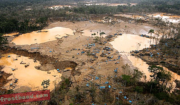 Добивът на злато унищожи гората в района на Мадре де Диос в южната част на Амазонка в Перу.