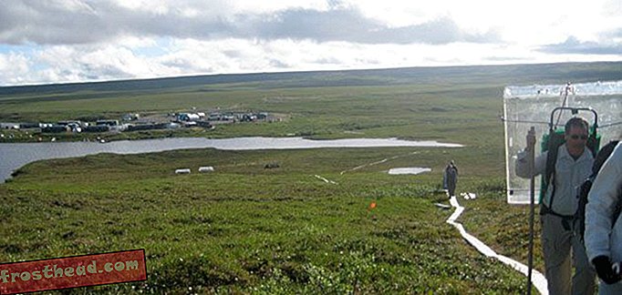 άρθρα, επιστήμη, τον πλανήτη μας - Αρκτική Κατανομή: Παίζοντας με Permafrost