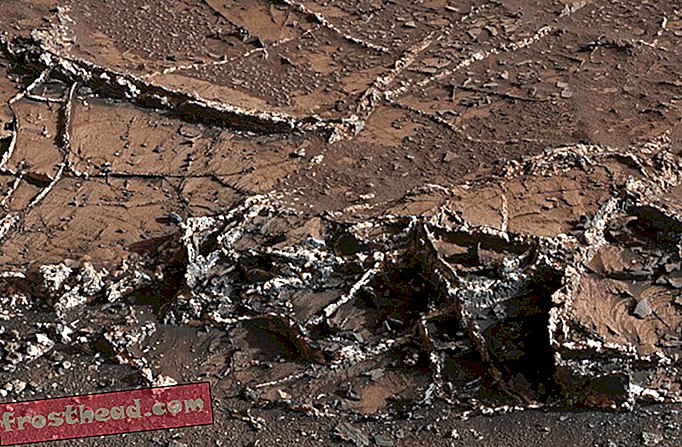 מאדים-ורידים-יבול.jpg