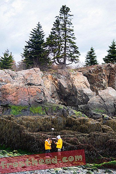 Un photographe documente les effets du changement climatique sur les zones intertidales du Maine