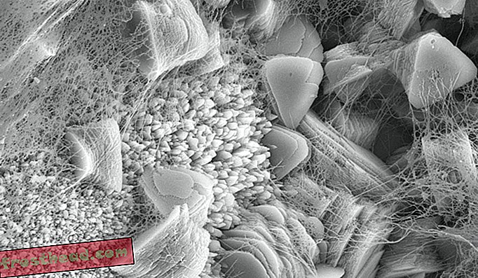Uma imagem de microscópio eletrônico de varredura revela os biofilmes transparentes feitos de micróbios dentro e dentro das chaminés de Lost City.