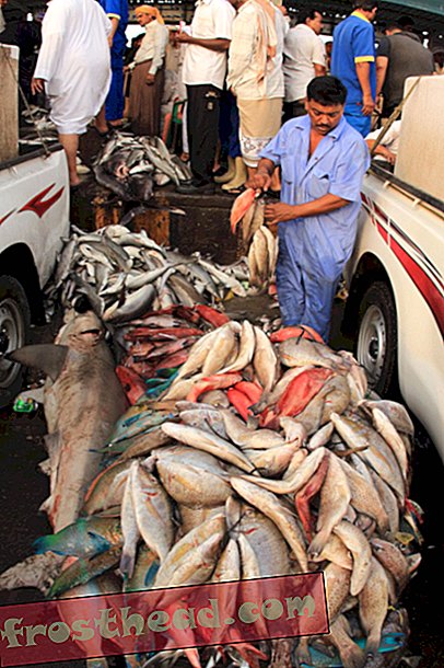 Camion del mercato ittico