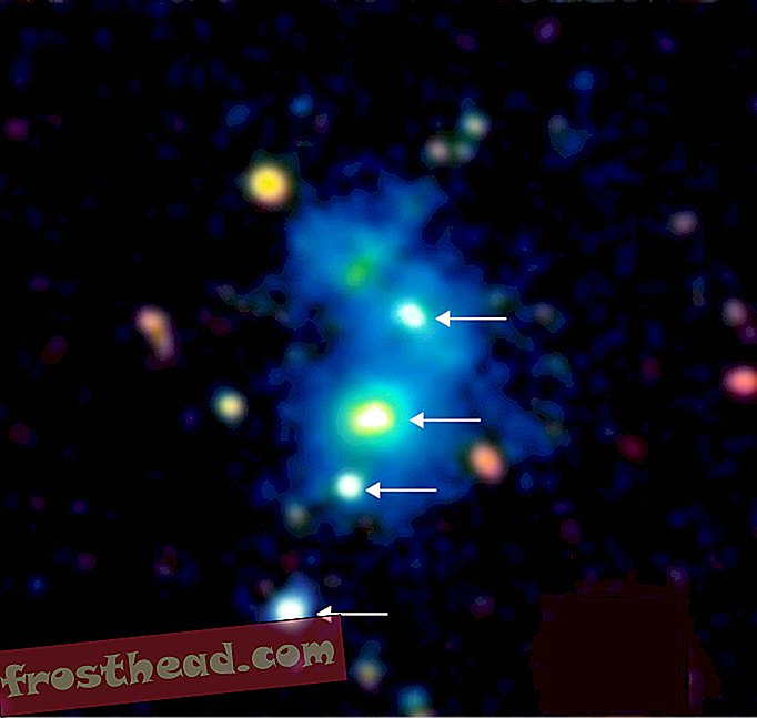 初期宇宙で発見されたクエーサーのまれなカルテット
