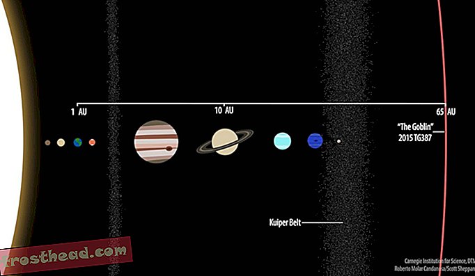 Een vergelijking van TG387 2015 bij 65 AU met de bekende planeten van het zonnestelsel. Saturnus is te zien op 10 AU en de aarde is natuurlijk op 1 AU, omdat de meting wordt gedefinieerd als de afstand tussen de zon en onze thuisplaneet.