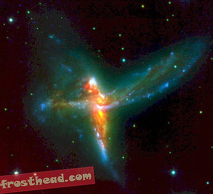 članci, znanost, svemir - "Tinkerbell" u Južnom nebu