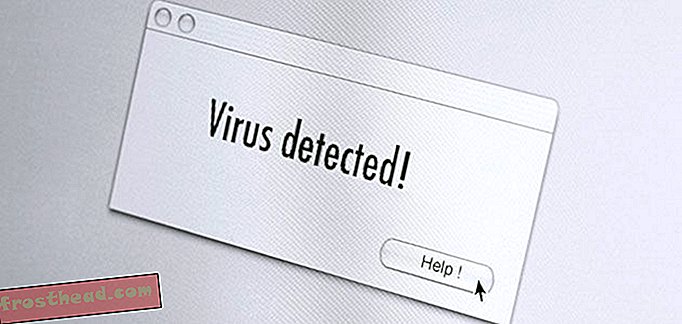 Десятка самых разрушительных компьютерных вирусов-статьи, наука, техника и космос