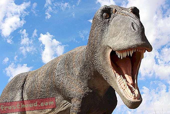 New Dinosaur Museum verfolgt die "schrecklichen Echsen" durch die Zeit