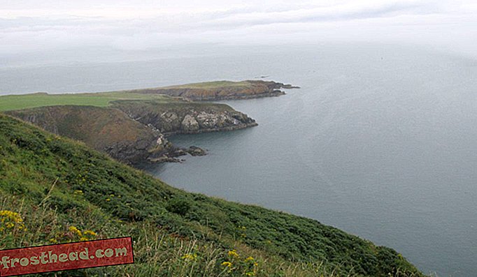 Het is drie mijl zwemmen naar het Ierse vasteland van Lambay.