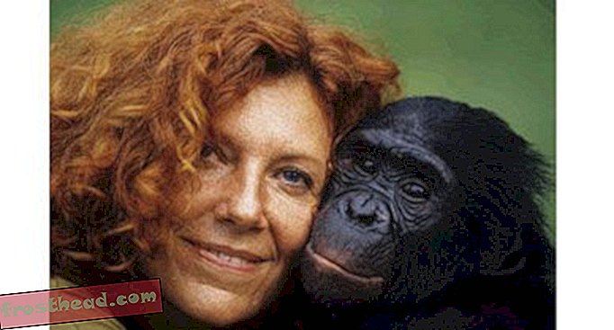 članki, znanost, divjad - Bonobo raj