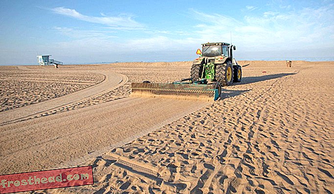 Rake yang dipasang di bahagian belakang traktor meninggalkan pasir licin di belakangnya, yang sesuai untuk pantai tetapi bukan untuk pesiar pantai yang terperangkap dalam tines.