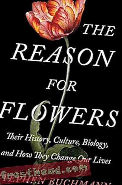 Preview thumbnail for video 'The Reason for Flowers: Their History, Culture, Biology, and How They Change Our Lives