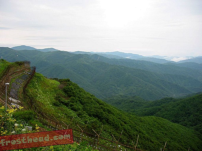 Πώς η αποστρατιωτικοποιημένη ζώνη της Κορέας έγινε τυχαία παράδεισος άγριας φύσης