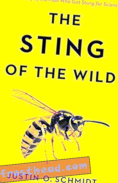 Preview thumbnail for video 'The Sting of the Wild