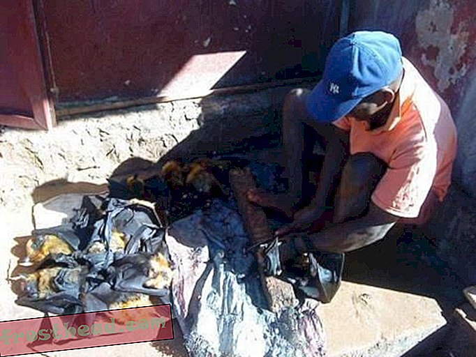 Почему люди обращаются к лемурам и другим исчезающим животным на ужин на Мадагаскаре