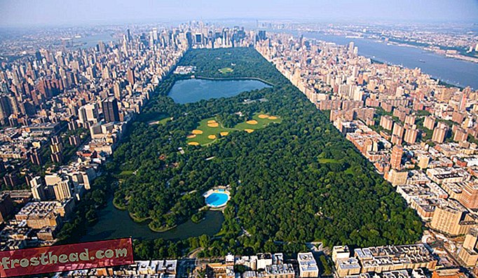 Central Park i New York City har en fugletikkbestand som konkurrerer med mange skoger.