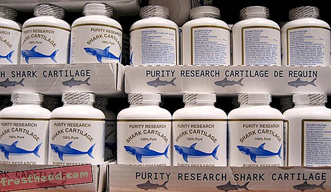 Haaienkraakbeenpillen genoten van een korte uitbarsting van populariteit