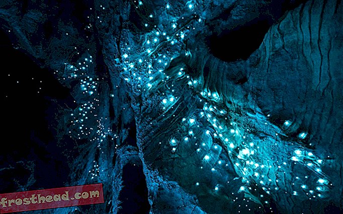 תמונות לוכדות של חשיפה ארוכה של מערות תולעי הזוהר של ניו זילנד
