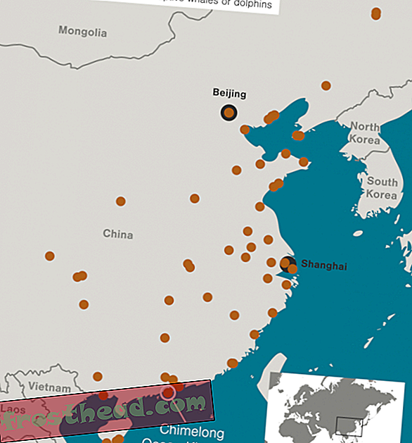 Cina memiliki 39 taman hiburan laut