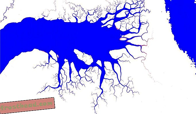 Kartta pintavesien jakautumisesta ja muutoksesta 32 vuoden aikana yli 3 miljoonasta Landsat-satelliittikuvasta. Tämä kartta osoittaa sisääntulon Linnunpään niemimaan eteläpuolella Länsi-Papualla, Indonesiassa ja kuvaa pintavesien alueelliset ja ajalliset kuviot. Tummansiniset värit ovat pysyvän veden alueita ja vaaleanpunaiset värit osoittavat alueita, joissa vettä esiintyy harvemmin.