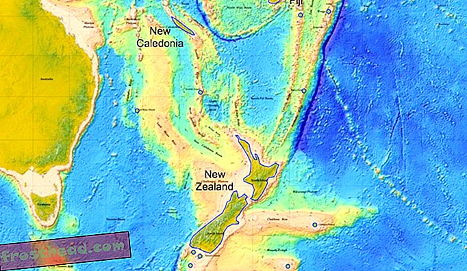 Nova Zelandija in morsko dno. Rov Hikurangi je južno od temno modrega rova ​​(Kermadec jark) v zgornji sredini te slike.