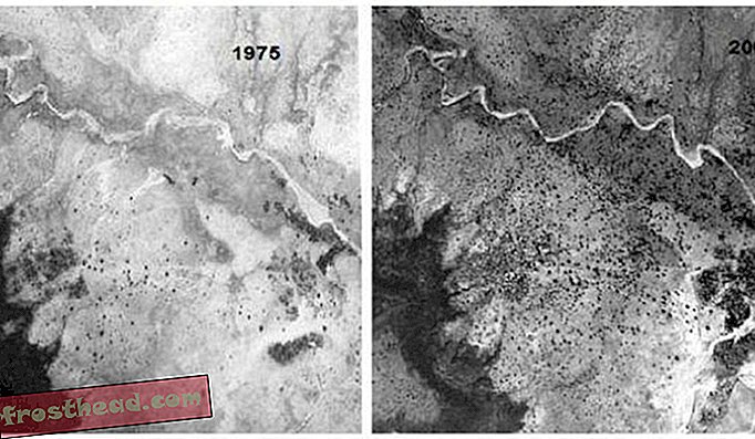 Reflorestamento em torno da cidade de Galma no Níger visto nesta imagem comparando a cobertura de árvores em 1975 com 2003.