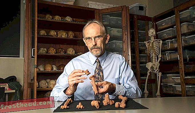 članci, znanost - Jesu li antropolozi upravo riješili tajnu Lucyne smrti star tri milijuna godina?