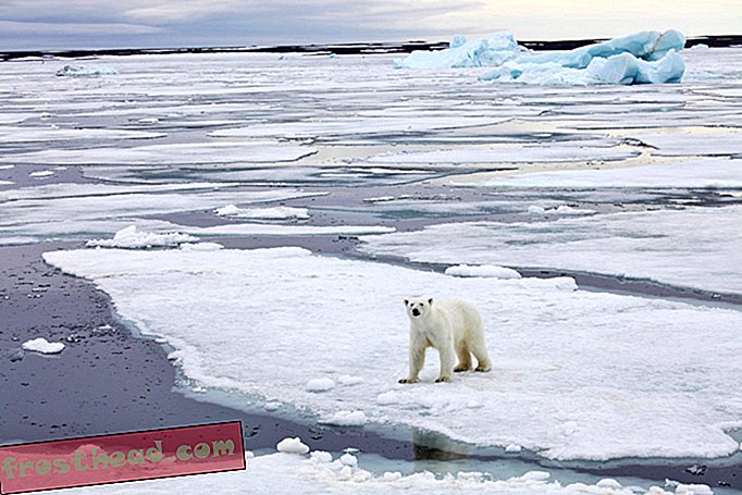 Podcast: Ima li uopće koga briga za Arktik?