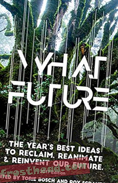 Preview thumbnail for 'What Future: The Year's Best Ideas to Reclaim, Reanimate & Reinvent Our Future