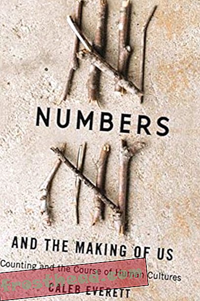 Preview thumbnail for 'Numbers and the Making of Us: Counting and the Course of Human Cultures