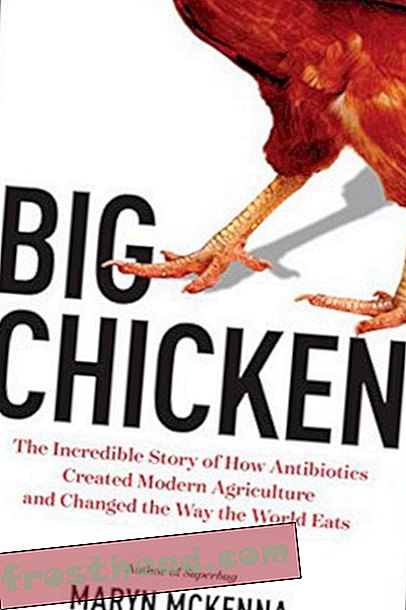 Preview thumbnail for 'Big Chicken: The Incredible Story of How Antibiotics Created Modern Agriculture and Changed the Way the World Eats