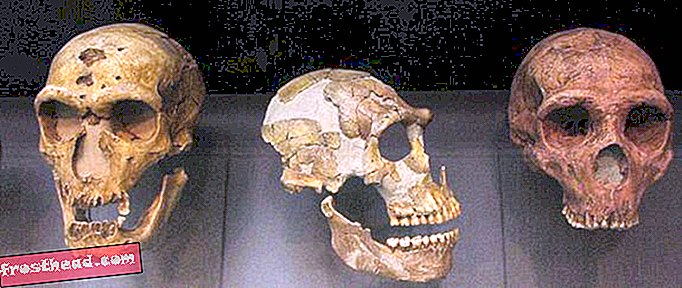 Artikel, Smart News, Smart News Science - Neue Studie legt nahe, dass Menschen, nicht das Klima, Neandertaler töten