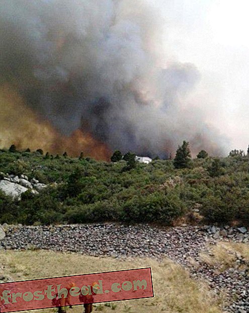 19 Bomberos veteranos mueren en Arizona Blaze, el peor desastre de incendios forestales en 80 años