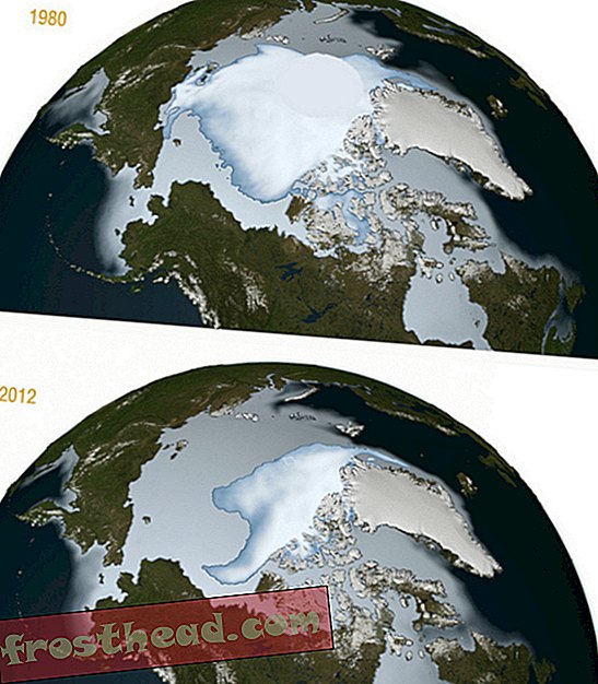 članci, pametne vijesti, pametne vijesti - Zapanjujući pogled na Arktik mogao bi biti posljednji od svoje vrste
