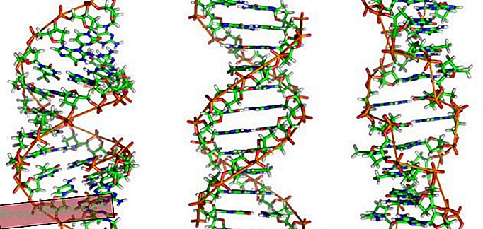 άρθρα, έξυπνες ειδήσεις, έξυπνες ειδησεογραφικές ιδέες και καινοτομίες - Βιβλία του μέλλοντος μπορεί να είναι γραμμένα στο DNA