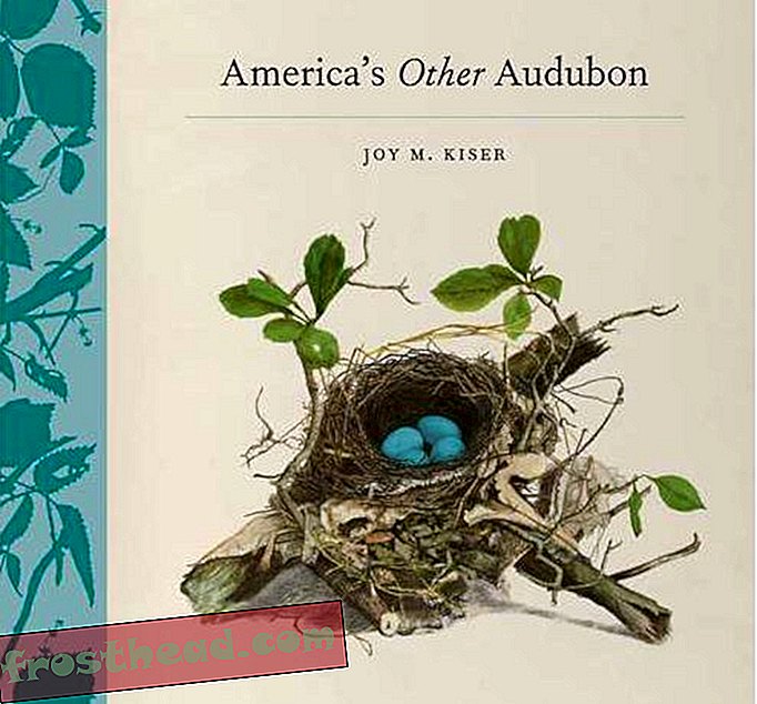 artículos, noticias inteligentes, noticias inteligentes arte y cultura - America's Other (Lady) Audubon